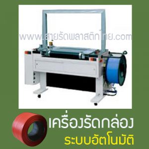 เครื่องแพ็คแบบอัตโนมัติ
